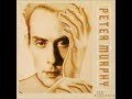 Peter Murphy :: Time Has Got Nothing to Do with It