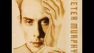 Peter Murphy :: Time Has Got Nothing to Do with It