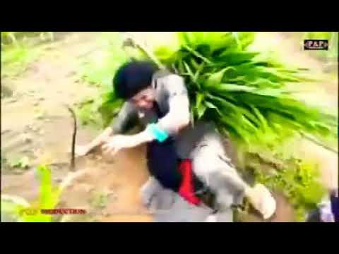 ib sim hawj Vim Tej Laus