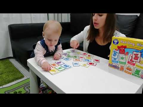 We play Red Dog, Blue Dog Orchard Toys