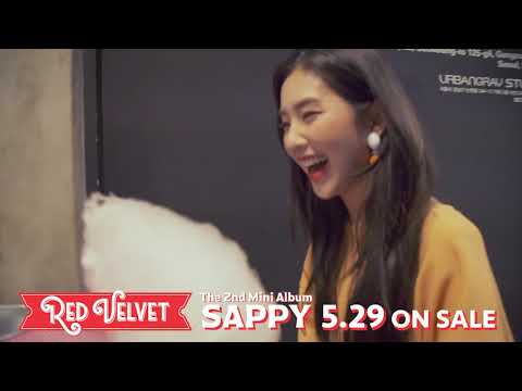 Red Velvet First Japan Mini Album Teasercookie Jar