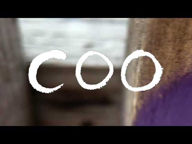 COO - herati