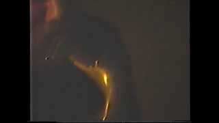 PETER BRÖTZMANN A L'HOSPITALET DE LLOBREGAT EL 24/2/1990. 2ª PART