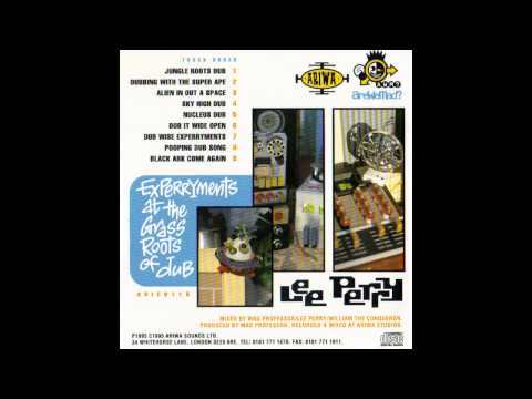Lee Perry / Mad Professor - Dubbing With The Super Ape
