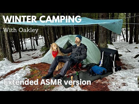 Solo winter backcountry camping with my dog Oakley ASMR