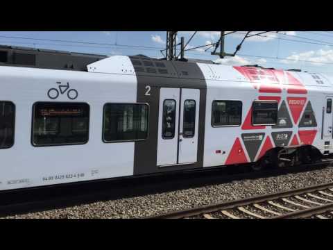 Dip Partnervermittlung Mönchengladbach — +49 ,