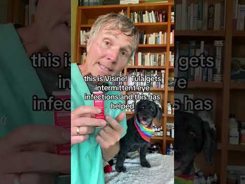 Topical OTC medication for eye infections in dogs and cats