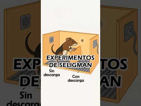 Sergio Del Olmo Rodríguez-6