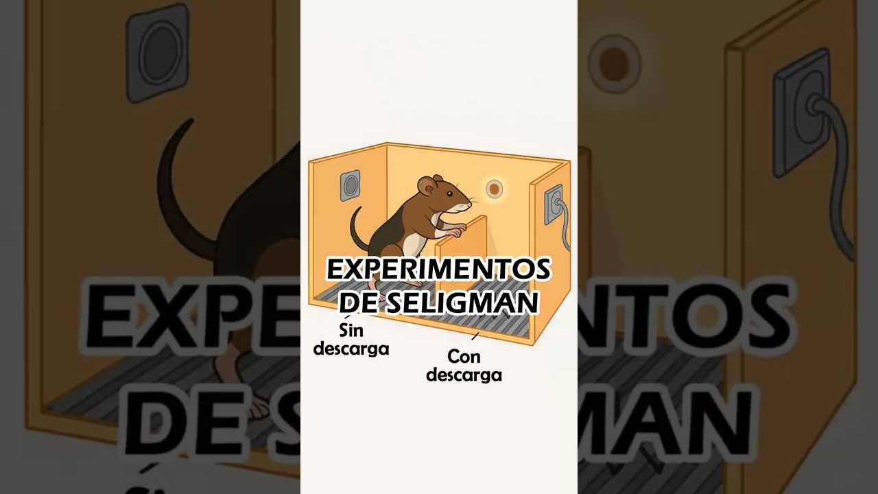 Sergio Del Olmo Rodríguez-6