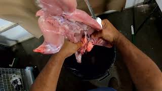 How To Skin and Butcher a Rabbit | Rabbit Meat For Sale Near Me