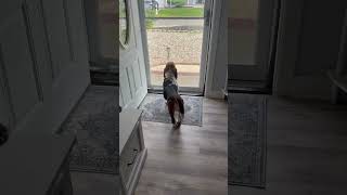 Video preview image #1 Basset Hound Puppy For Sale in Deepwater, NJ, USA