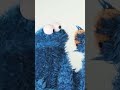 Cookie Monster S New Years Resolution Sesamestreet