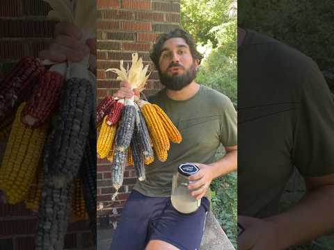 How we make tortillas using wood ash nixtamalization! #growyourownfood #cooking #offgridliving