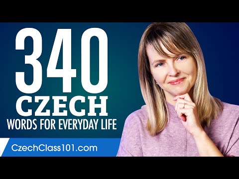 340 Czech Words for Everyday Life - Basic Vocabulary #17