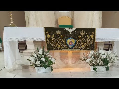 Santa Misa desde la Catedral de la ciudad de Concepción. Tucumán. Domingo 19/10/25.