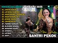 SANTRI PEKOK NIKEN SALINDRY FULL ALBUM TERBARU VERSI CAMPURSARI VIRAL TRENDING 2025 2024