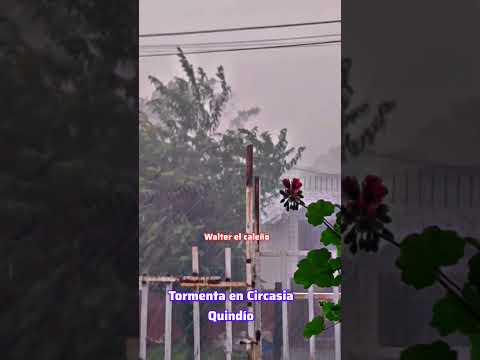 tremendo palo de agua en circasia Quindío ve