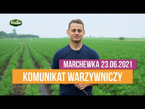 , title : 'Komunikat warzywniczy 23.06.2021 / krzywe marchewki, szkodniki i choroby marchwi'