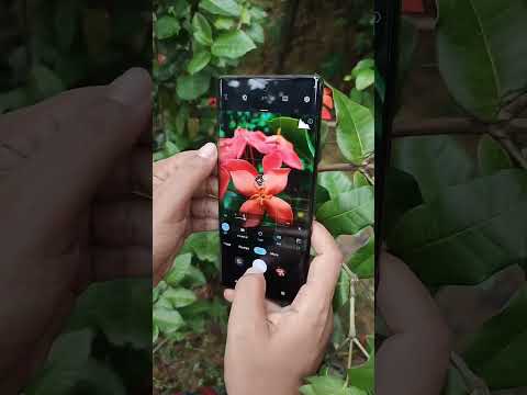 motorola edge 30 ultra | edge 30 Ultra cemra test