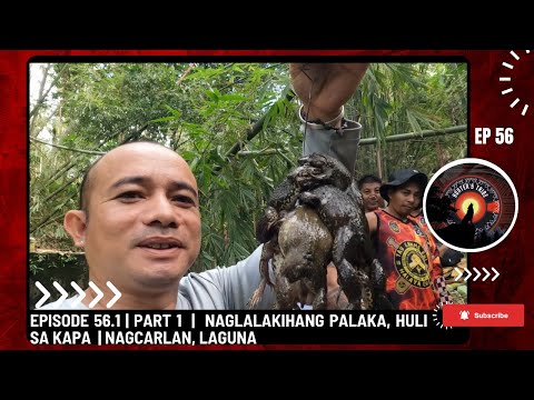 EPISODE 56.1 | PART 1  |  NAGLALAKIHANG PALAKA, HULI SA KAPA  | NAGCARLAN, LAGUNA
