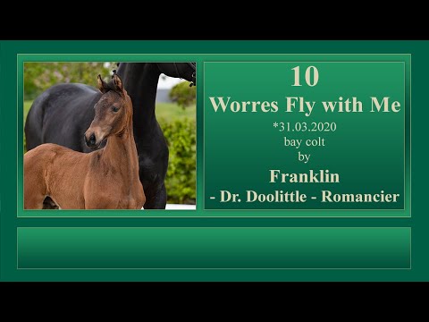 10 Worres Fly with Me by Franklin - Dr.Doolittle - Romancier