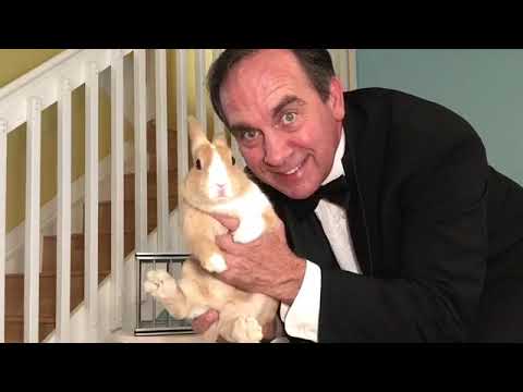 Rene Teboe Magic Silver Cage and Cage Exchange