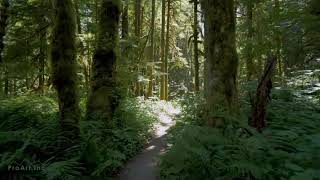 Amorphis - White Night (Lyrics)
