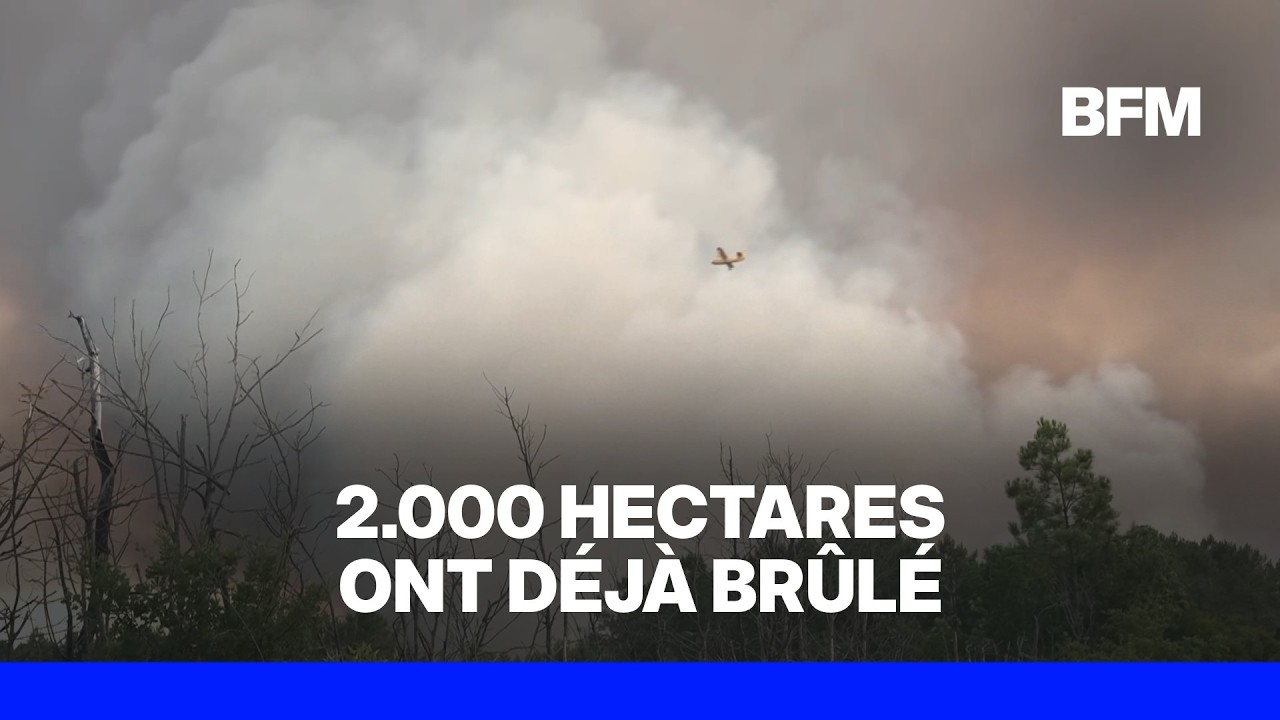 Incendie en Gironde: près de 12.000 personnes évacuées en urgence