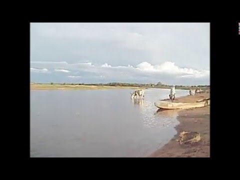 Chari River in Southern Chad