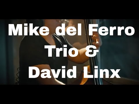 Mike del Ferro Trio & David Linx | Lifetimes such as These | Album: "from one language to another"