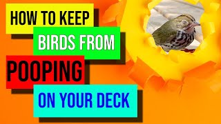 How To Keep Birds From Pooping On Your Deck
