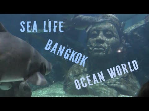 Океанариум в Бангкоке Sea Life Ocean World