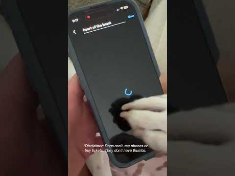 Slide zdBXibttK6Y