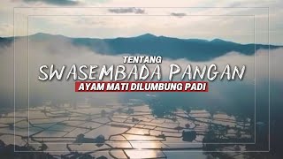 INDONESIA SWASEMBADA PANGAN - Aksi Dewan : Arif Rahman