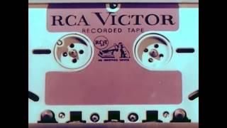 Florist - Living Alone