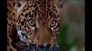 preview picture of video 'PERDIDOS EN AGUA BLANCA - LA PELICULA'