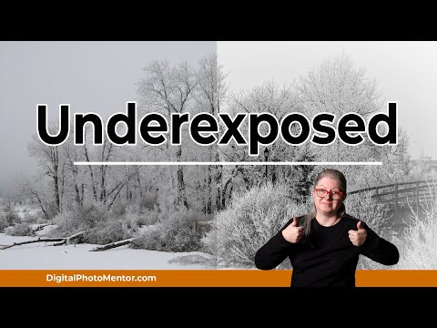 How to Fix an Underexposed Image With Luminar Neo