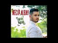 Necip Albay Ceviz Kabuğu