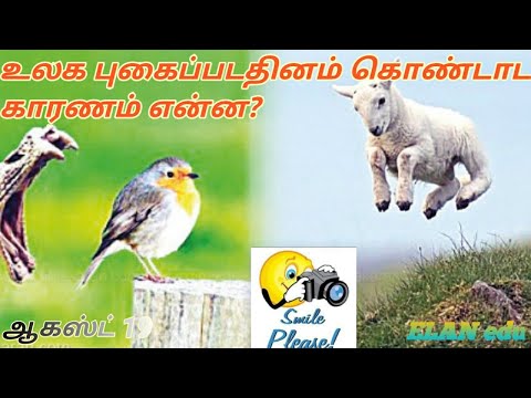 PHOTO WORLD || AUGUST 19|| உலக புகைப்படநாள் - World Photography Day