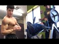 Chest Workout and Physique Update