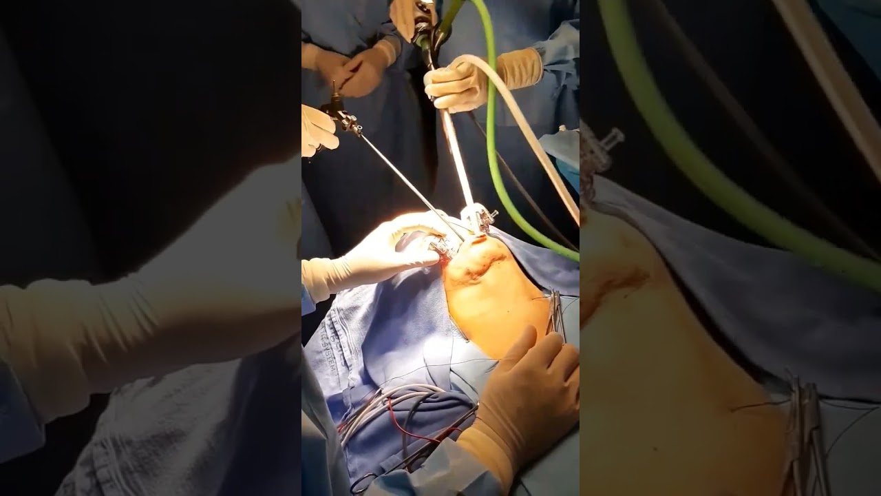 Estefanía Boyer Duck-14