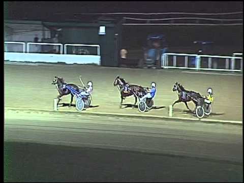 Trotto 03/09/2015 - 3° prova di qualifica