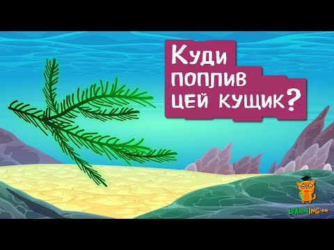 🍀 Дива природи. Явища навколо нас. Морські лілії 🌏