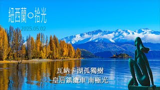 紐西蘭06 瓦納卡湖孤獨樹 That Wānaka Tree、箭鎮 Arrowtown、皇后鎮纜車 Skyline、南極極光 Aurora Australis, NEW ZEALAND