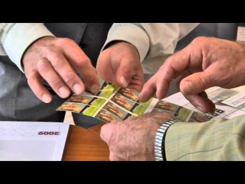 Druckerei Zauner Druck