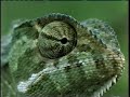 National Geographic Tanzania Thorn Tree Country 1997 VHS