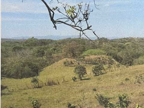 Imagen de Venta de Lotes y Terrenos en San juan grande - Esparza San Juan Grande - PUNTARENAS