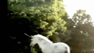 El supuesto avistaje de un unicornio provocó  conmoción en Canadá 18/10/2010