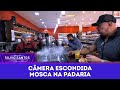 Fly In The Bakery Hidden Cameras 10 08 25