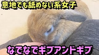 指を舐めてもらいたいpart2【I want the rabbit to lick my finger!!part2】